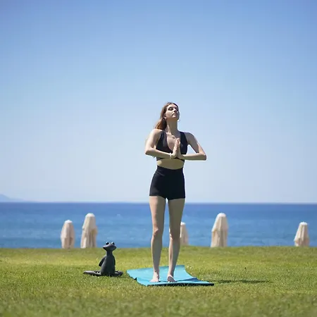Dirik Surf 4* 达特恰