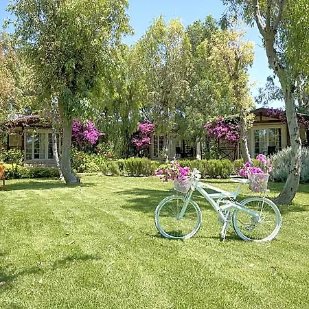 Dirik Surf Hotel