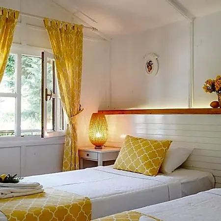 Hotel Dirik Surf 4*